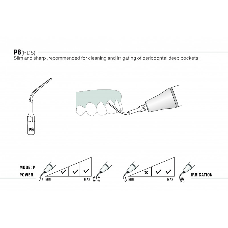 Insert P6/PD6 compatible Satelec 
