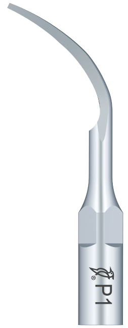 Insert P1 compatible EMS